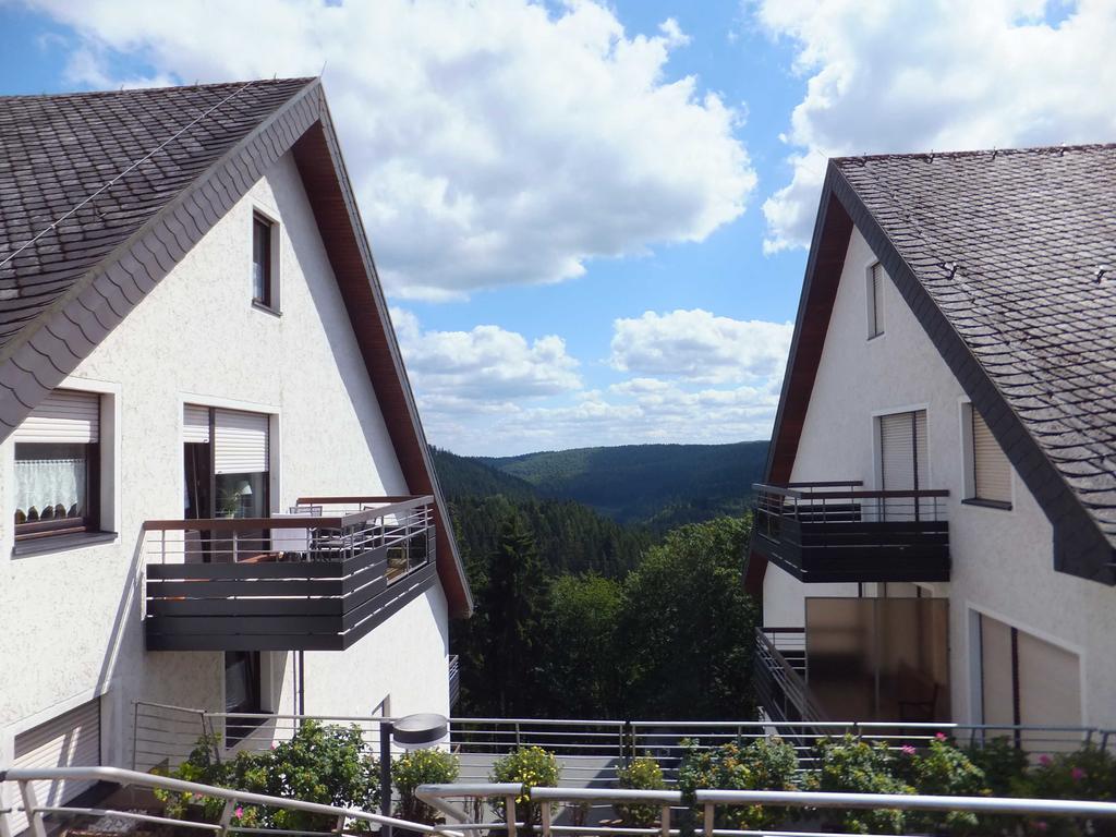 Ferienwohnung Schanzenblick Apartment Winterberg